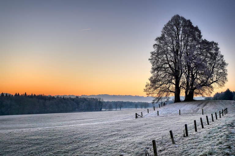 campo-circondato-da-colline-e-alberi-spogli-coperti-di-neve-durante-il-tramonto-in-inverno.jpg